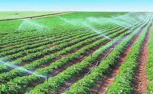 草鸡巴穴自拍农田高 效节水灌溉